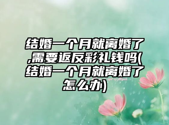 結婚一個月就離婚了,需要返反彩禮錢嗎(結婚一個月就離婚了怎么辦)