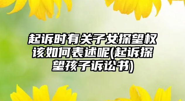 起訴時有關(guān)子女探望權(quán)該如何表述呢(起訴探望孩子訴訟書)