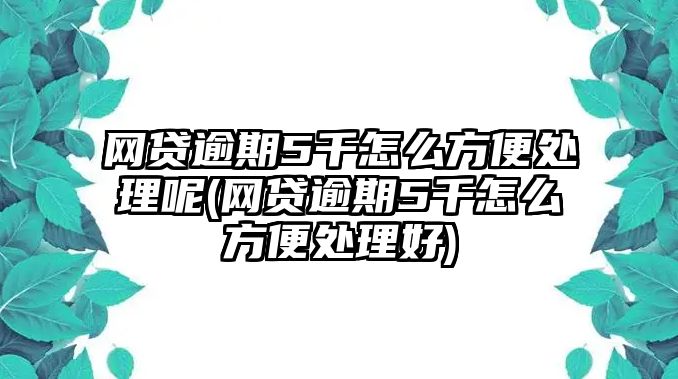 網貸逾期5千怎么方便處理呢(網貸逾期5千怎么方便處理好)