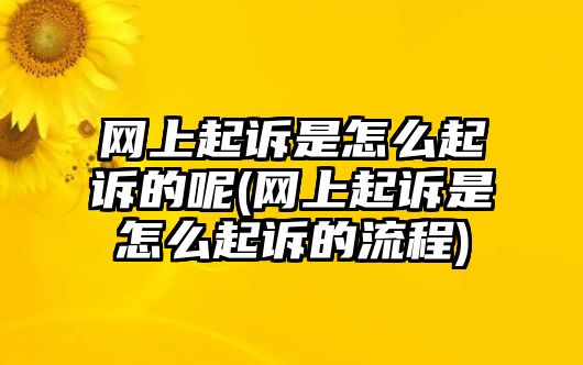 網(wǎng)上起訴是怎么起訴的呢(網(wǎng)上起訴是怎么起訴的流程)