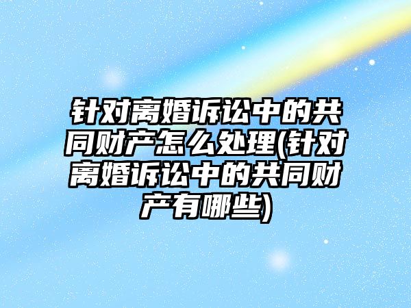 針對離婚訴訟中的共同財產怎么處理(針對離婚訴訟中的共同財產有哪些)