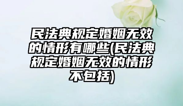 民法典規(guī)定婚姻無(wú)效的情形有哪些(民法典規(guī)定婚姻無(wú)效的情形不包括)