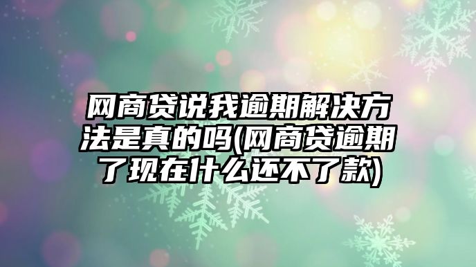 網商貸說我逾期解決方法是真的嗎(網商貸逾期了現在什么還不了款)