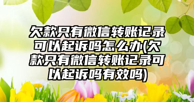 欠款只有微信轉(zhuǎn)賬記錄可以起訴嗎怎么辦(欠款只有微信轉(zhuǎn)賬記錄可以起訴嗎有效嗎)