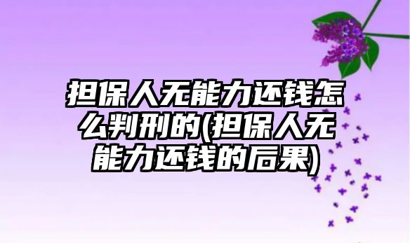 擔保人無能力還錢怎么判刑的(擔保人無能力還錢的后果)