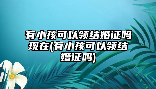 有小孩可以領(lǐng)結(jié)婚證嗎現(xiàn)在(有小孩可以領(lǐng)結(jié)婚證嗎)