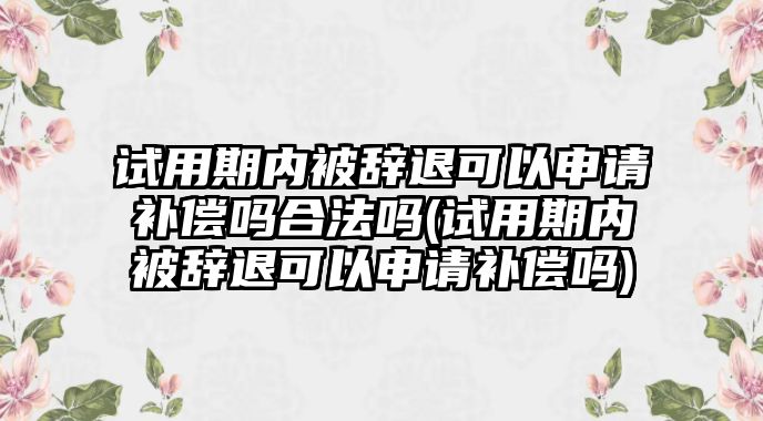 試用期內被辭退可以申請補償嗎合法嗎(試用期內被辭退可以申請補償嗎)