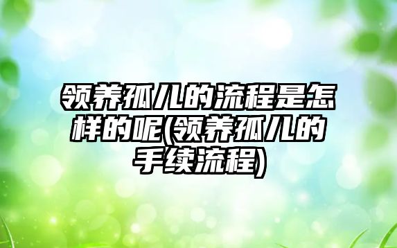 領養(yǎng)孤兒的流程是怎樣的呢(領養(yǎng)孤兒的手續(xù)流程)