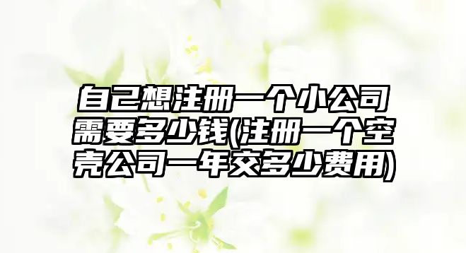 自己想注冊(cè)一個(gè)小公司需要多少錢(注冊(cè)一個(gè)空殼公司一年交多少費(fèi)用)