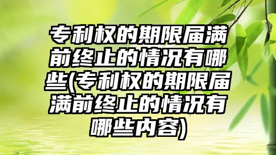 專利權的期限屆滿前終止的情況有哪些(專利權的期限屆滿前終止的情況有哪些內容)