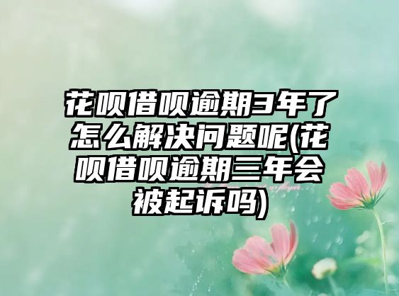 花唄借唄逾期3年了怎么解決問題呢(花唄借唄逾期三年會被起訴嗎)