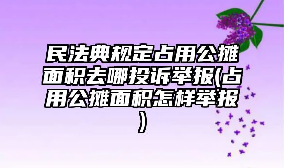 民法典規(guī)定占用公攤面積去哪投訴舉報(占用公攤面積怎樣舉報)