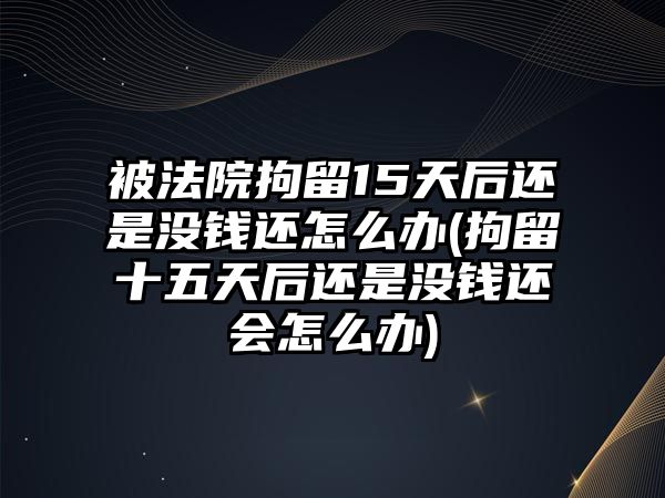 被法院拘留15天后還是沒錢還怎么辦(拘留十五天后還是沒錢還會怎么辦)