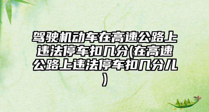 駕駛機動車在高速公路上違法停車扣幾分(在高速公路上違法停車扣幾分兒)