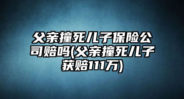 父親撞死兒子保險公司賠嗎(父親撞死兒子獲賠111萬)