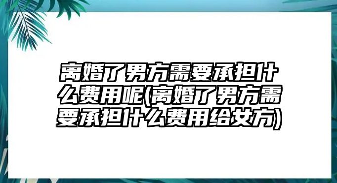 離婚了男方需要承擔什么費用呢(離婚了男方需要承擔什么費用給女方)