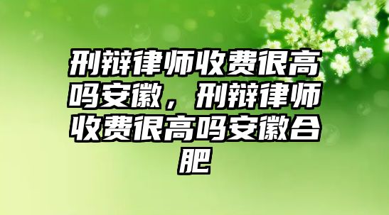 刑辯律師收費(fèi)很高嗎安徽，刑辯律師收費(fèi)很高嗎安徽合肥