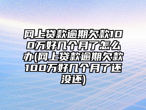 網(wǎng)上貸款逾期欠款100萬好幾個(gè)月了怎么辦(網(wǎng)上貸款逾期欠款100萬好幾個(gè)月了還沒還)