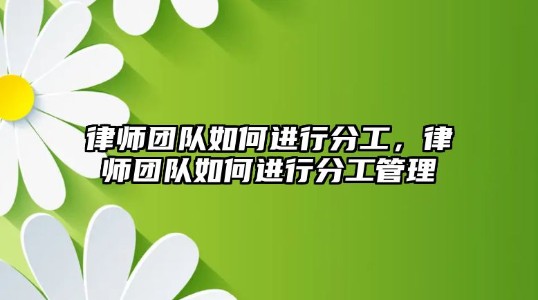 律師團隊如何進行分工，律師團隊如何進行分工管理