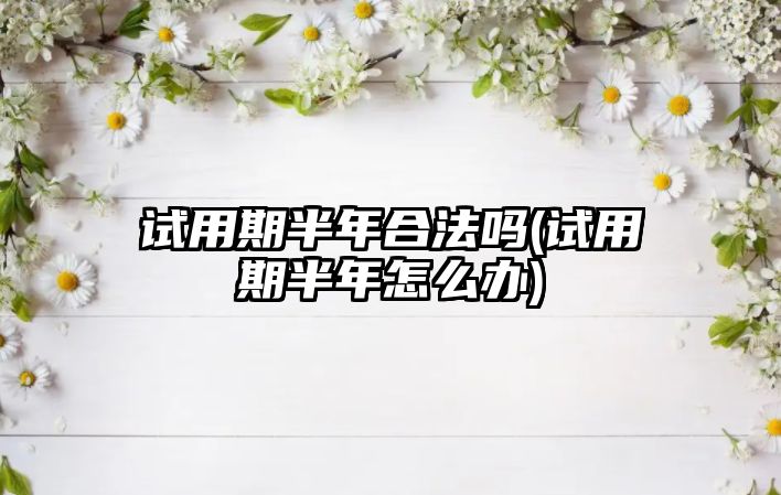 試用期半年合法嗎(試用期半年怎么辦)