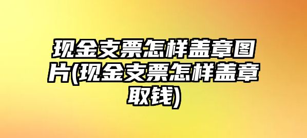 現金支票怎樣蓋章圖片(現金支票怎樣蓋章取錢)