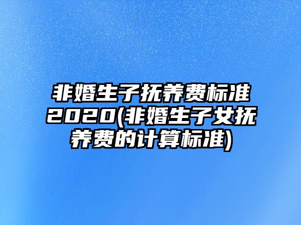 非婚生子撫養費標準2020(非婚生子女撫養費的計算標準)