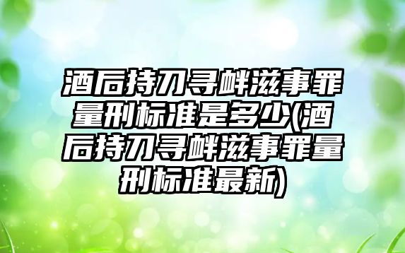 酒后持刀尋釁滋事罪量刑標(biāo)準(zhǔn)是多少(酒后持刀尋釁滋事罪量刑標(biāo)準(zhǔn)最新)