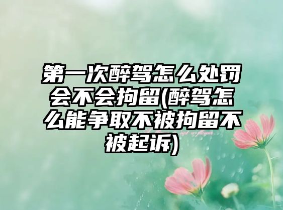 第一次醉駕怎么處罰會不會拘留(醉駕怎么能爭取不被拘留不被起訴)