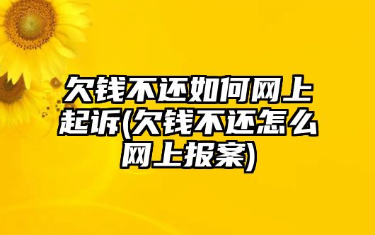 欠錢不還如何網上起訴(欠錢不還怎么網上報案)