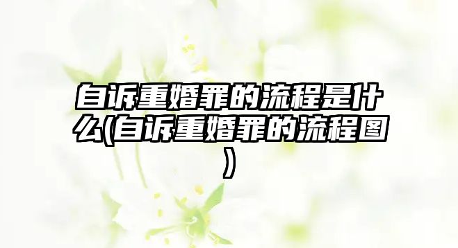 自訴重婚罪的流程是什么(自訴重婚罪的流程圖)