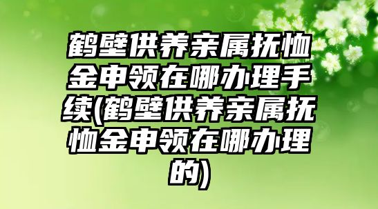 鶴壁供養(yǎng)親屬撫恤金申領在哪辦理手續(xù)(鶴壁供養(yǎng)親屬撫恤金申領在哪辦理的)