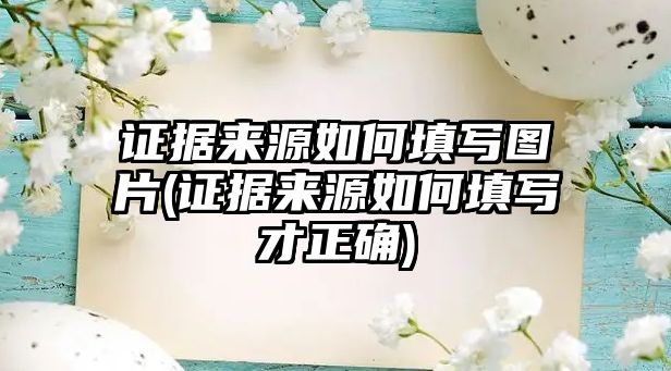 證據來源如何填寫圖片(證據來源如何填寫才正確)