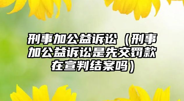 刑事加公益訴訟（刑事加公益訴訟是先交罰款在宣判結案嗎）