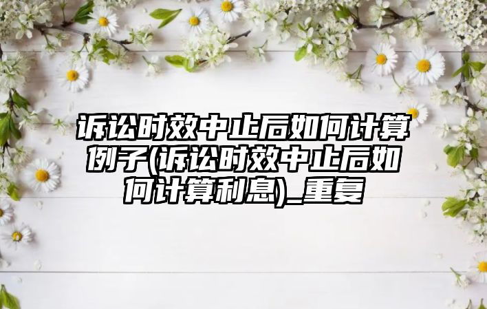 訴訟時效中止后如何計算例子(訴訟時效中止后如何計算利息)_重復