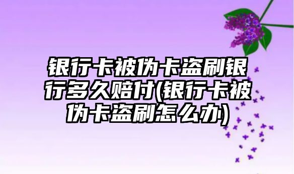 銀行卡被偽卡盜刷銀行多久賠付(銀行卡被偽卡盜刷怎么辦)