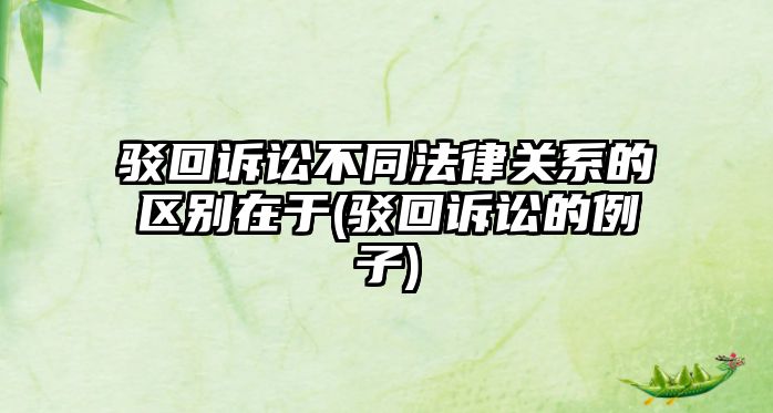 駁回訴訟不同法律關系的區別在于(駁回訴訟的例子)