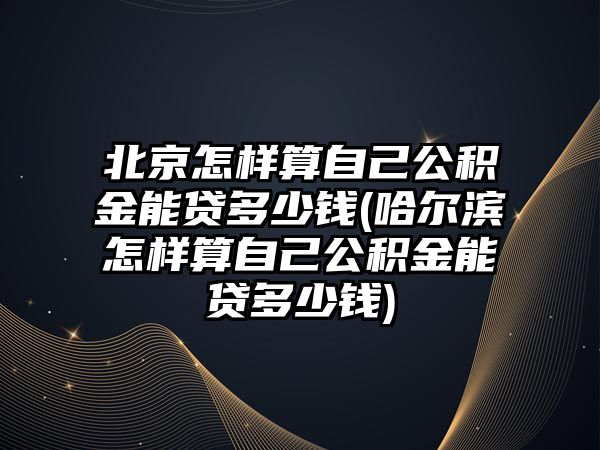 北京怎樣算自己公積金能貸多少錢(哈爾濱怎樣算自己公積金能貸多少錢)