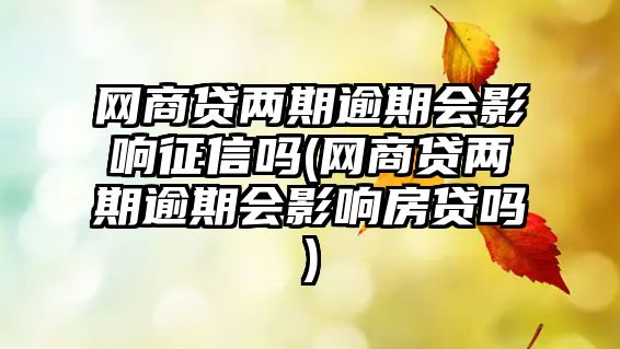 網商貸兩期逾期會影響征信嗎(網商貸兩期逾期會影響房貸嗎)