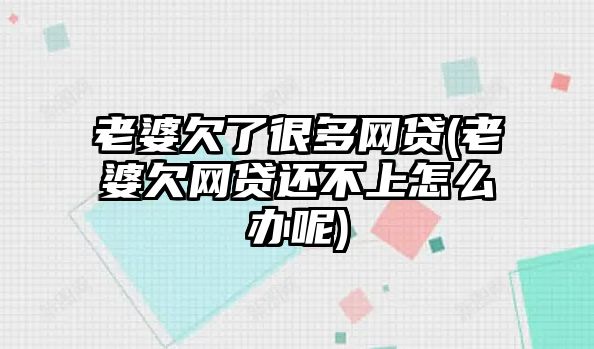 老婆欠了很多網貸(老婆欠網貸還不上怎么辦呢)