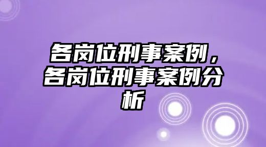 各崗位刑事案例，各崗位刑事案例分析