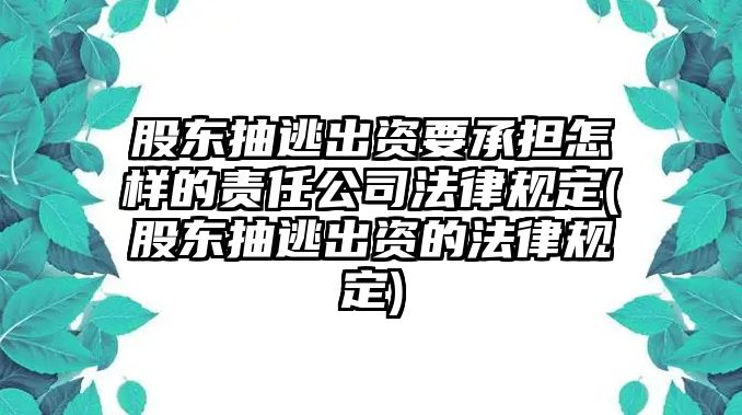 股東抽逃出資要承擔怎樣的責任公司法律規定(股東抽逃出資的法律規定)