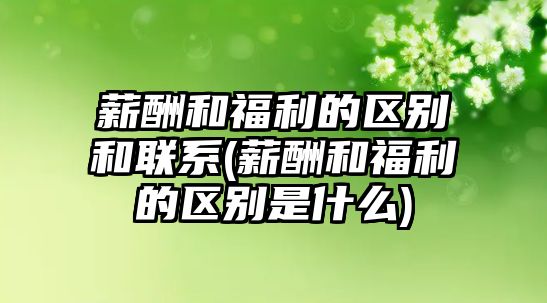 薪酬和福利的區(qū)別和聯系(薪酬和福利的區(qū)別是什么)