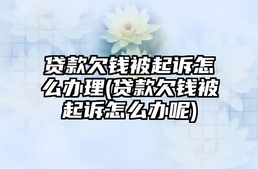 貸款欠錢被起訴怎么辦理(貸款欠錢被起訴怎么辦呢)