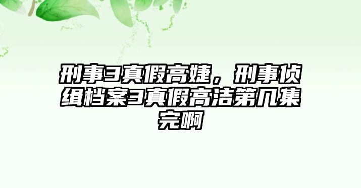 刑事3真假高婕，刑事偵緝檔案3真假高潔第幾集完啊