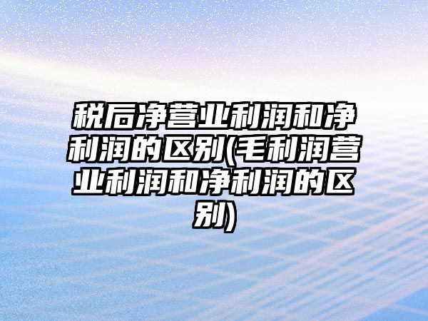 稅后凈營業(yè)利潤和凈利潤的區(qū)別(毛利潤營業(yè)利潤和凈利潤的區(qū)別)