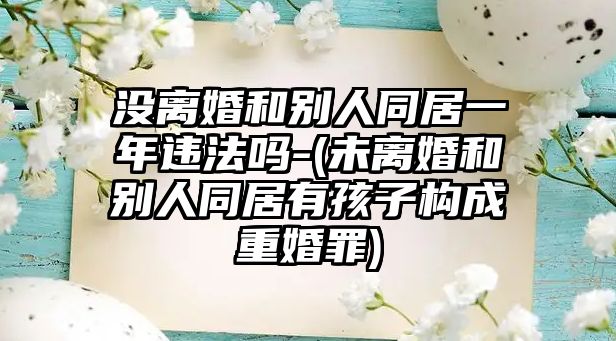 沒離婚和別人同居一年違法嗎-(未離婚和別人同居有孩子構(gòu)成重婚罪)