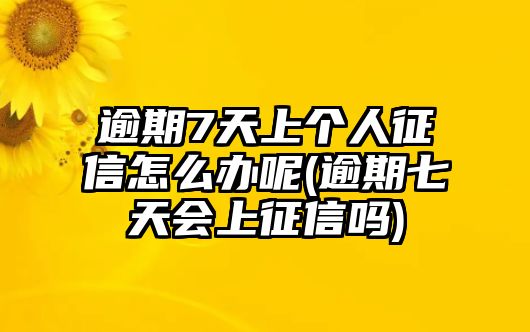 逾期7天上個人征信怎么辦呢(逾期七天會上征信嗎)