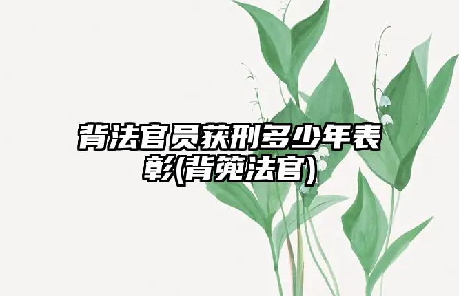 背法官員獲刑多少年表彰(背篼法官)