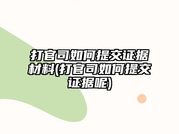 打官司如何提交證據(jù)材料(打官司如何提交證據(jù)呢)