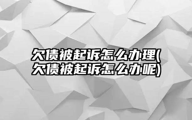 欠債被起訴怎么辦理(欠債被起訴怎么辦呢)